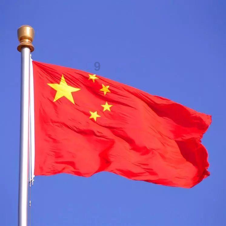 胖小猫救援