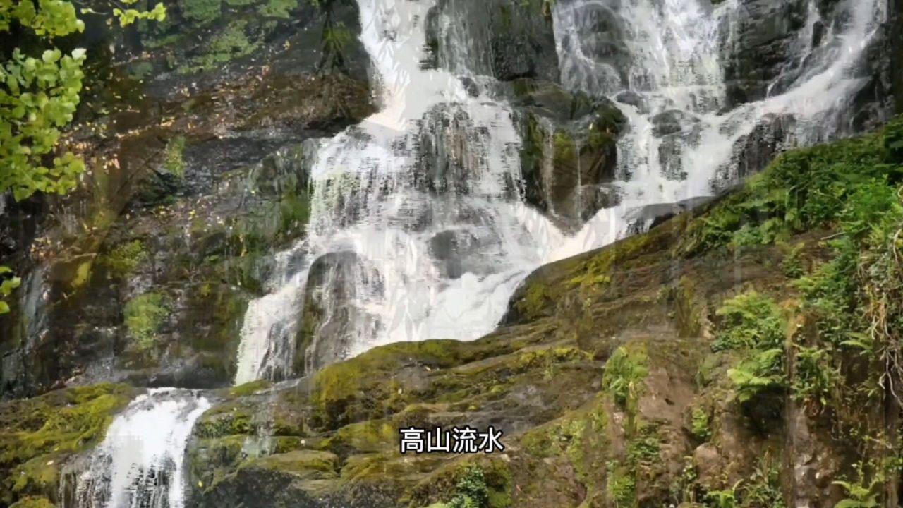 倾世一梦